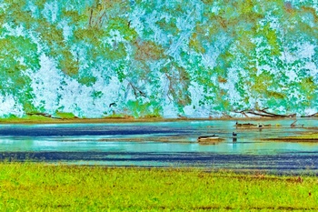 L 041A